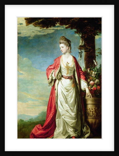 Portrait of Mrs Trecothick, in Turkish Dress by Joshua Reynolds