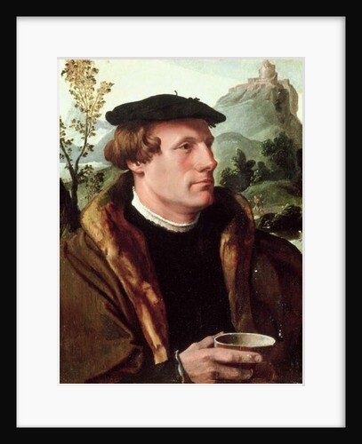 Portrait of a Gentleman by Maerten van Heemskerck