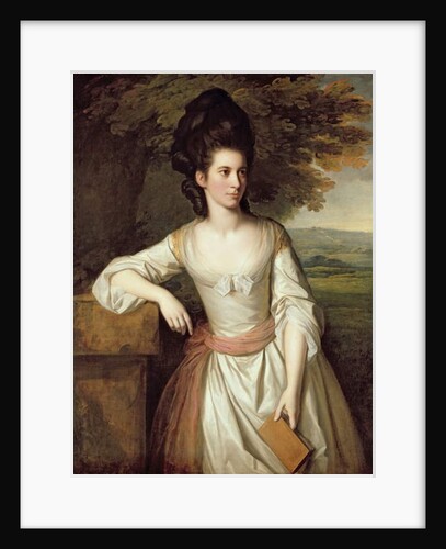 Portrait of Mrs. Vere by Nathaniel Dance