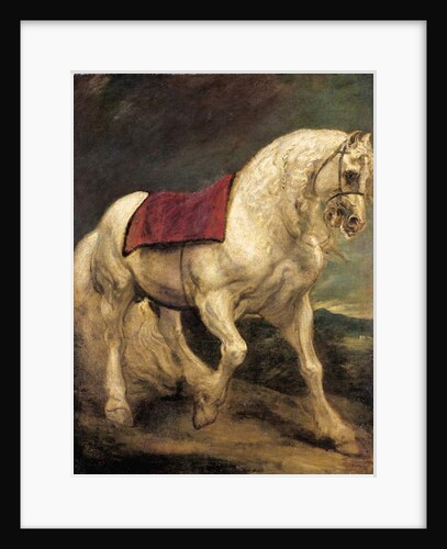 A bridled grey stallion, with a saddle cloth and partially plaited mane: a modello by Anthony van Dyck