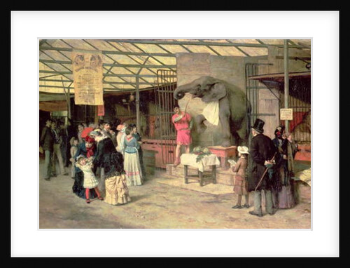 At the Zoo by Giuseppe Barison