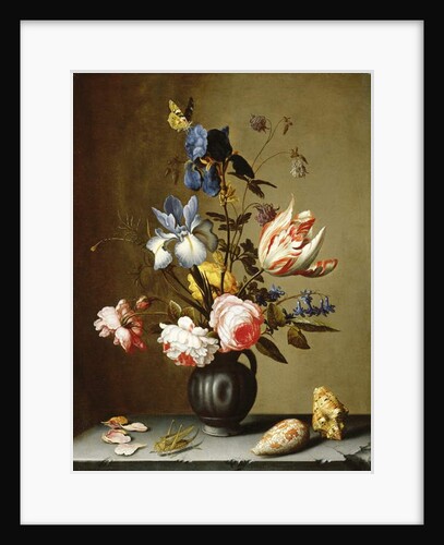 Irises, roses, columbine, hyacinth and a tulip in a black pottery pitcher, with seashells and a grasshopper on a stone ledge by Balthasar van der Ast