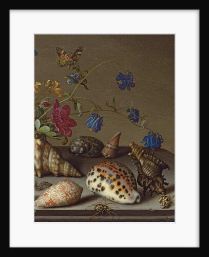 Flowers, shells and insects on a stone ledge by Balthasar van der Ast