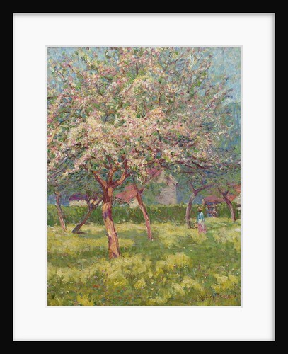 An orchard in bloom by Wynford Dewhurst