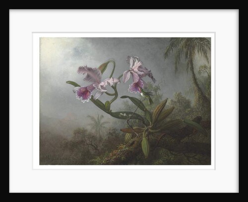Pink orchids and hummingbird on a twig, 1875 by Martin Johnson Heade