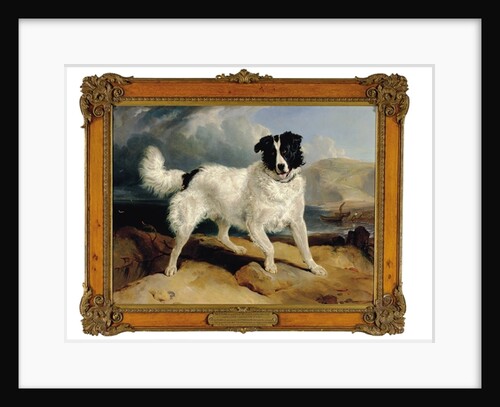 Neptune, the Property of William Ellis Gosling, Esq., 1824 by Edwin Landseer