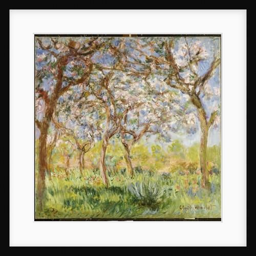 Spring at Giverny, 1903 by Claude Monet