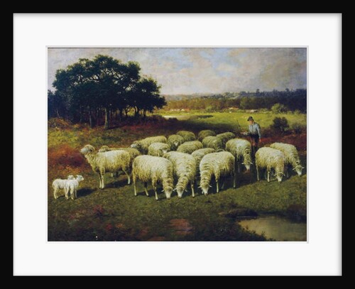 A shepherd with his sheep out in the field, 1898 by Charles T. Phelan