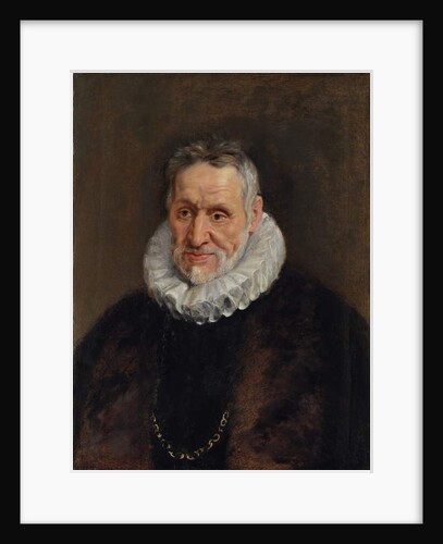 Portrait of a bearded man by Peter Paul Rubens