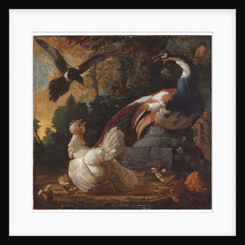 A peacock, poultry and a magpie in a landscape, 1720 by Abraham Bisschop