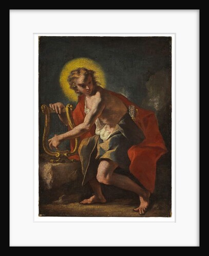 Apollo by Nicolò Grassi