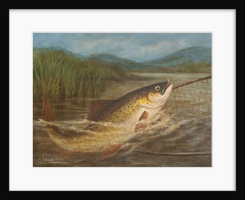 The fly fisherman's net by A. Roland Knight