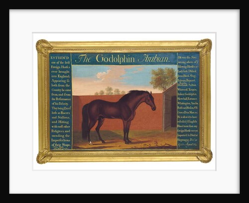The Godolphin Arabian by Thomas of Pall Mall Butler