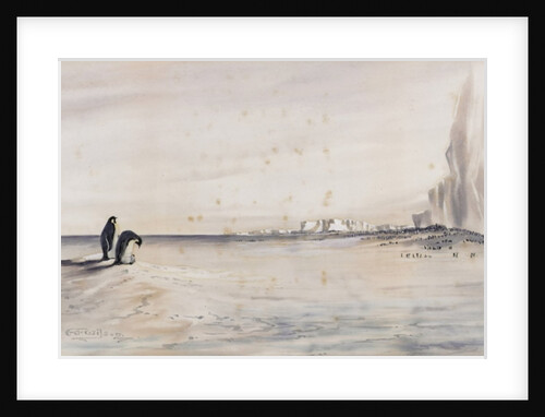 The Emperor Penguin Rookery, Cape Crozier by Edward Adrian Wilson
