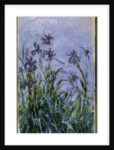 Purple Irises, 1914-17 by Claude Monet