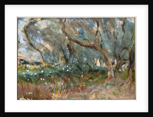 Landscape, Corfu, 1909 by John Singer Sargent