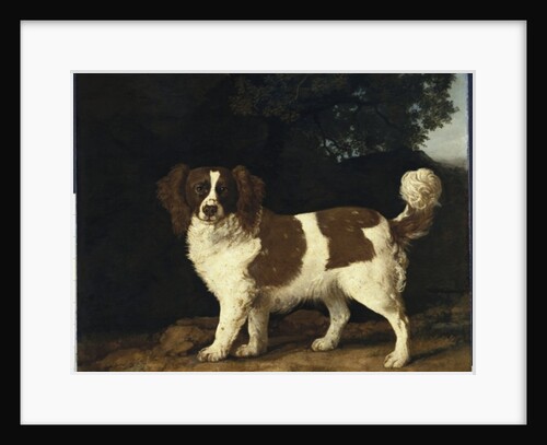 Fanny, the Favourite Spaniel of Mrs. Musters, Standing in a Wooded Landscape, 1777 by George Stubbs