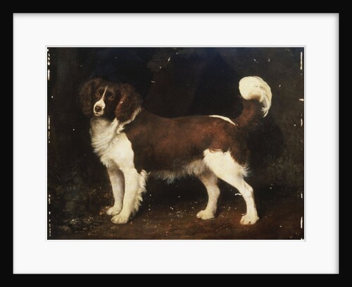 A Spaniel in a Landscape, 1784 by George Stubbs