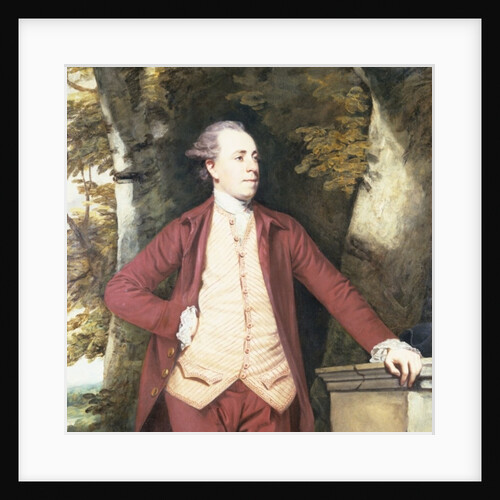 Portrait of Richard Crofts of West Harling, Norfolk by Joshua Reynolds