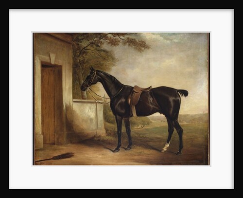 Portrait of Buckle, First Lord Chesham's Hunter, 1836 by John E. Ferneley