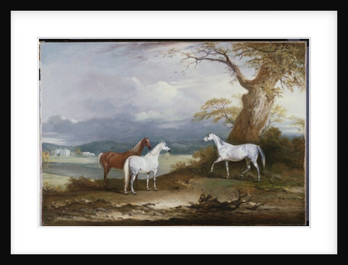 Lord Macdonald's Mares on the Grounds of Thorpe Hall, Rudston, Yorkshire, 1836 by John E. Ferneley