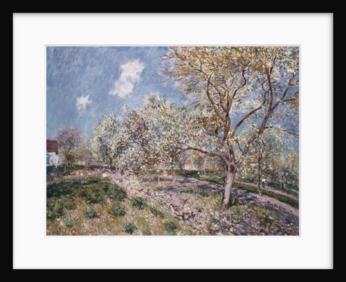 Spring at Veneux, 1880 by Alfred Sisley