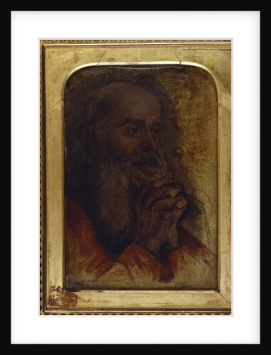 Study of an old man's head for 'Jesus Among the Doctors' by Jean Auguste Dominique Ingres