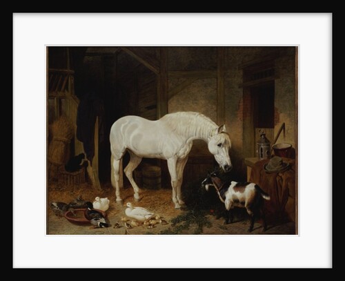 Stable Companions by John Frederick Herring Snr