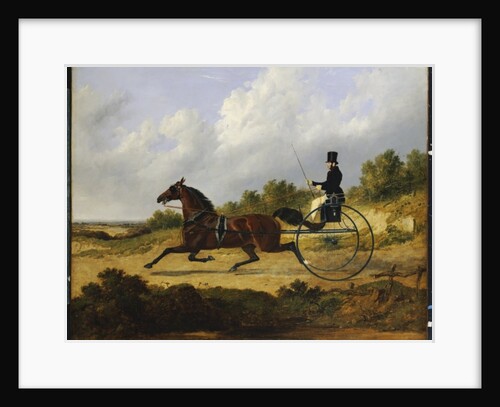 Confidence, drawing a gig driven by a groom, 1842 by John Frederick Herring Snr