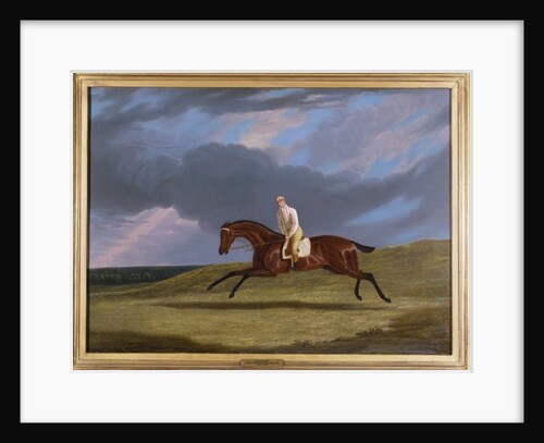 Corduroy, a Bay Racehorse, with a Jockey Up, Galloping on a Racecourse by John Frederick Herring Snr
