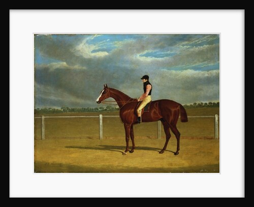 The Racehorse 'The Colonel' with William Scott Up by John Frederick Herring Snr