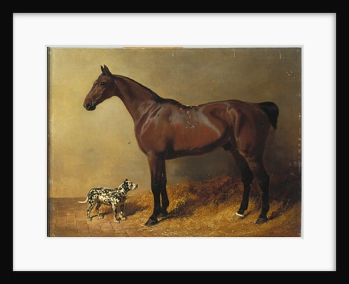A Bay Hunter and a Spotted Dog in a Stable Interior, 1846 by John Frederick Herring Snr
