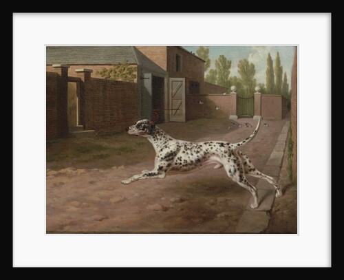A Dalmation Running in a Stable Yard by Philip Reinagle