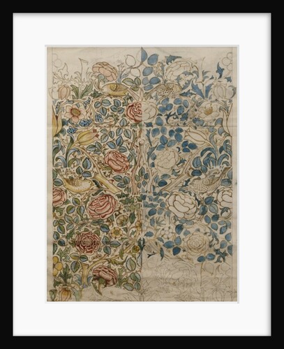 Rose, design for chintz by William Morris