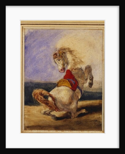 Rearing Horse by Eugene (1798-1863) (attr. to) Delacroix