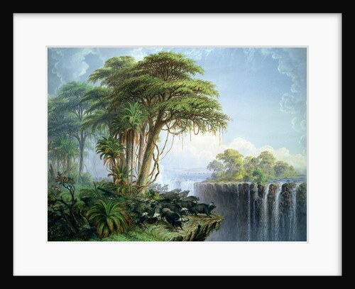 Buffalos Driven to the Edge of the Chasm opposite Garden Island, Victoria Falls by Thomas Baines