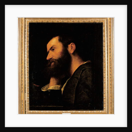 Portrait of the poet Pietro Aretino, bust-length, resting his head on his right hand by a ledge with a plant by Alessandro Bonvicino Moretto