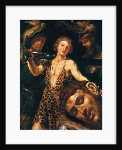 The Triumph of David over Goliath by Louis Finsonius