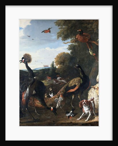 Peacocks and other birds, with a sheep and dog in a landscape by Melchior de Hondecoeter