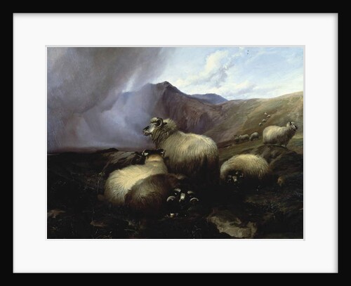 Highland Sheep in a Mountainous Landscape, 1854 by Thomas Sidney Cooper