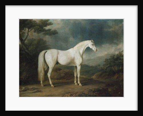 White horse in a wooded landscape, 1791 by Sawrey Gilpin