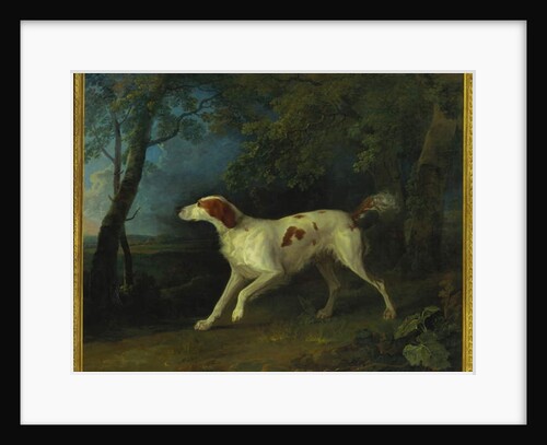 A brown and white setter in a wooded landscape, 1773 by Sawrey Gilpin