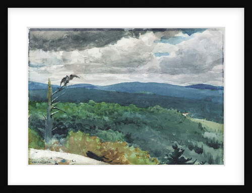 Hilly Landscape, 1894 by Winslow Homer