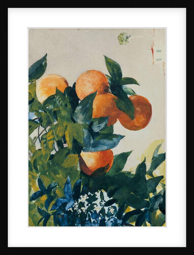 Oranges on a Branch, 1885 by Winslow Homer