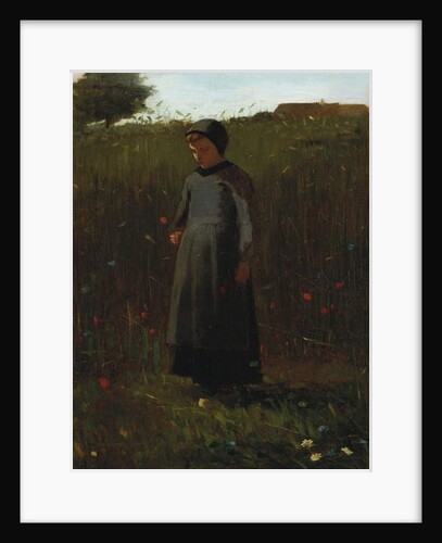 The Flowers of the Field by Winslow Homer