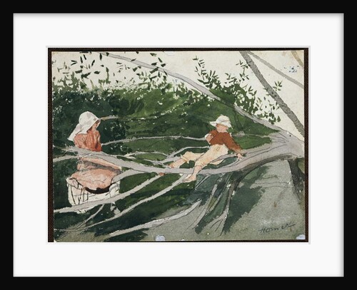Out on a Limb by Winslow Homer