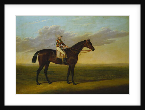 Mr Richard Watt's Bay Racehorse 'Rockingham' with Sam Darling up, on a Racecourse by David of York Dalby