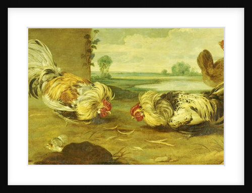 A Cock Fight by Frans Snyders