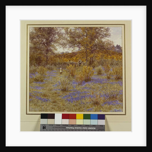 Bluebell Copse, 1889 by Helen Allingham
