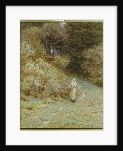 In the Primrose Wood by Helen Allingham